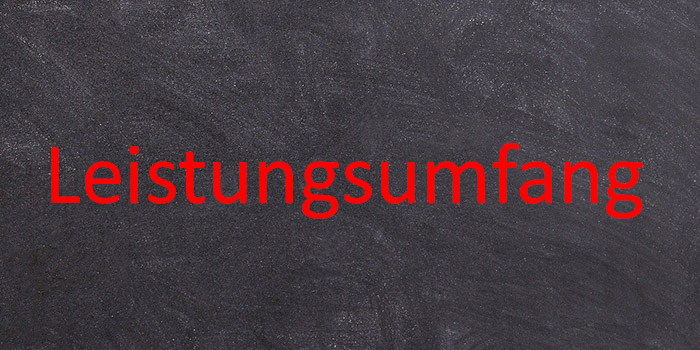 Leistungsumfang