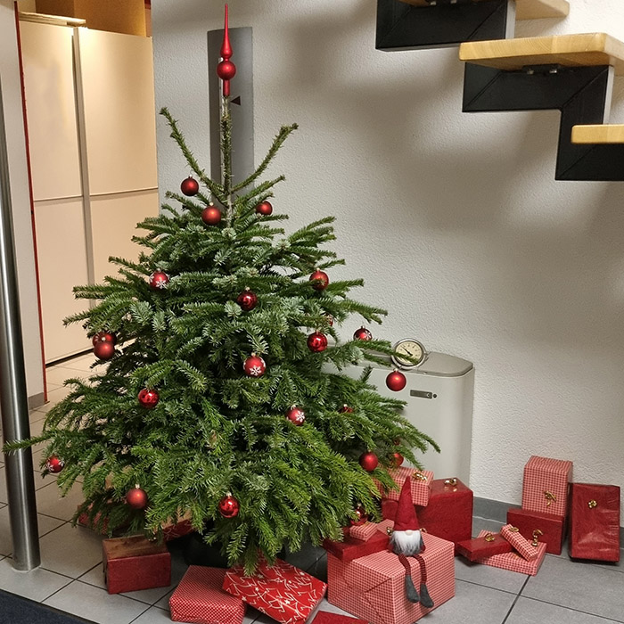 Weihnachtsbaum